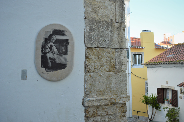 Lisbon: City Walking Group Tour with German Speaking Guide Private Führung (vielfältige Stadtführung)