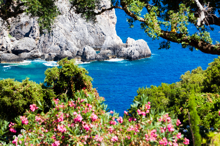 Private Corfu Tour Admire the Most Iconic Sights of Corfu Full Day Tour with Lunch