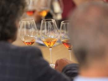 Marsala : visite du vignoble Florio avec dégustation de vins locaux