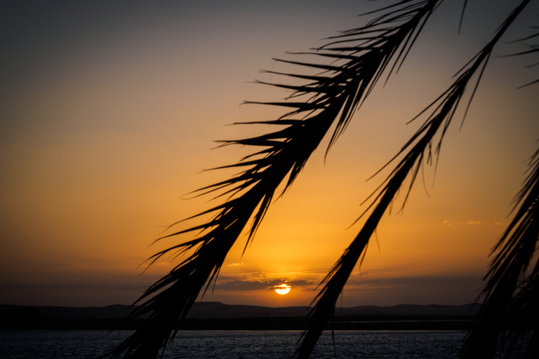 Von Kairo aus: El-Alamin, Siwa-Oase und westliche WüstensafariPrivate Tour