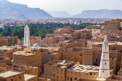 Au départ du Caire : El-Alamin, oasis de Siwa et safari dans le désert occidentalVisite privée