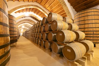Marsala: Florio Winery Tour mit kulinarischen Weinverkostungen
