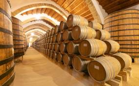 Marsala: Florio Winery Tour with Food-Paired Wine Tastings