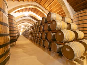 Marsala : visite culinaire du domaine viticole de Florio avec dégustation de vins associés à des mets