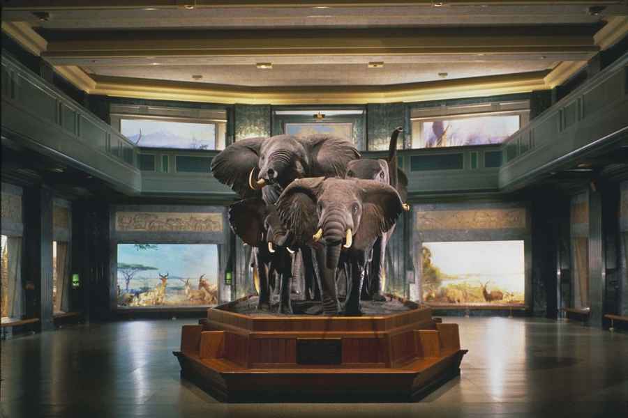New York City: Ticket für American Museum of Natural History. Foto: GetYourGuide