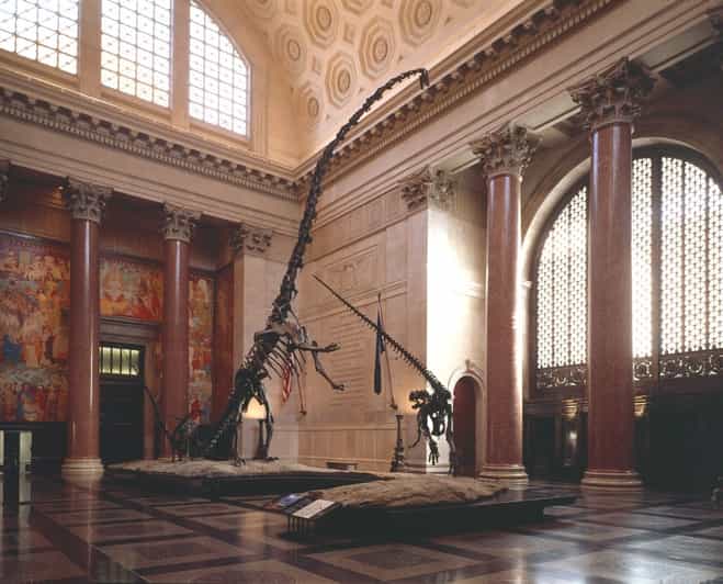 Nova Iorque Ingressos Museu Americano de