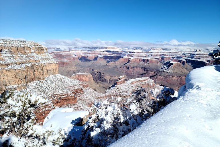 Arizona: Grand Canyon National Park Tour with Lunch & Pickup Tour with Pickup from Williams