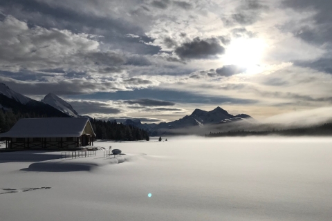 Privétransfer: Banff, Lake Louise of Canmore naar Calgary
