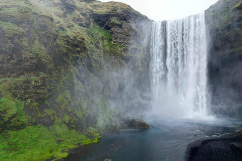 Private Tagestour an der Südküste mit GletscherwanderungPrivate Tagestour an die Südküste mit Gletscherwanderung