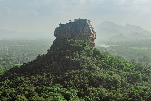 Colombo/Negombo: Dagtocht Sigiriya, Dambulla Grot & Safari