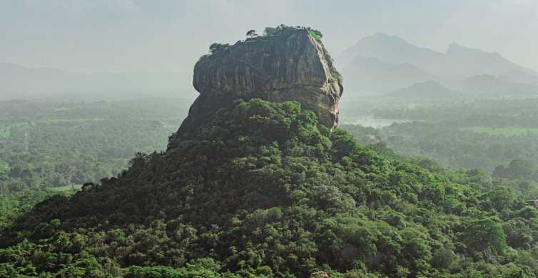Colombo/Negombo: Sigiriya, Dambulla Cave, & Safari Day Tour