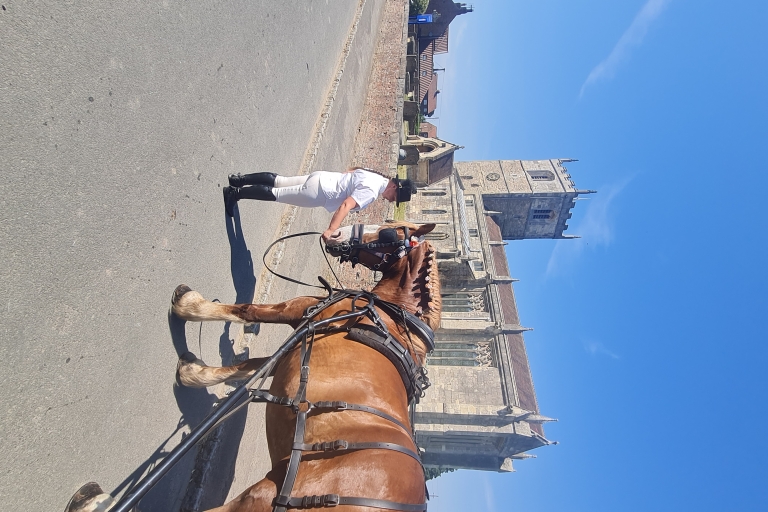 Horse drawn carriage rideStandard Option