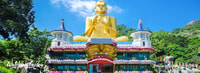 Colombo/Negombo，Sigiria，Dumbullah Cave和Safari Day Tour - Housity