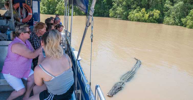 达尔文：壮观的鳄鱼跳跃阿德莱德河游船