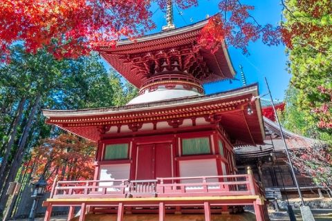 From Osaka: Mt Koya Private Walking and Train Day Tour