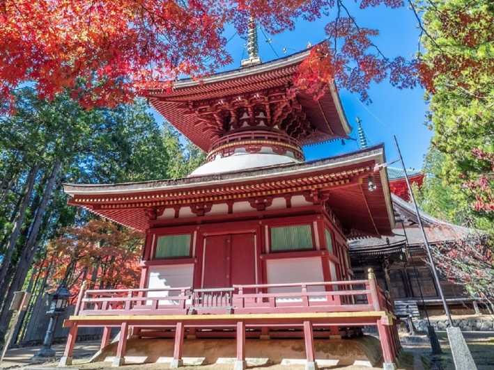 From Osaka: Mt. Koya Private Walking and Train Tour
