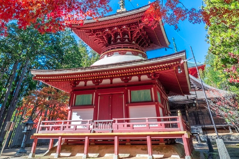 Von Osaka aus: Mt Koya Private Wander- und Zug-TagestourPrivate Tour