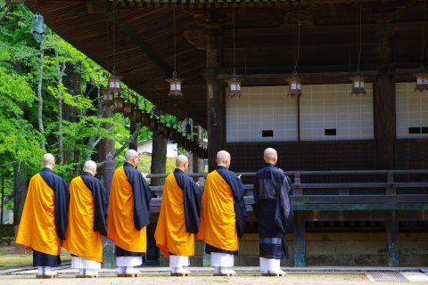 From Osaka: Mt Koya Private Walking and Train Day Tour Private tour
