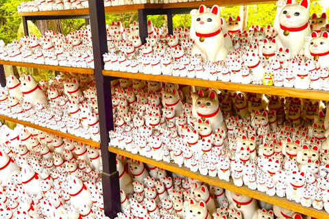 Tokyo: Gotokuji Cat Temple, Shinjuku Cat Cafe & 3D Cat Tour