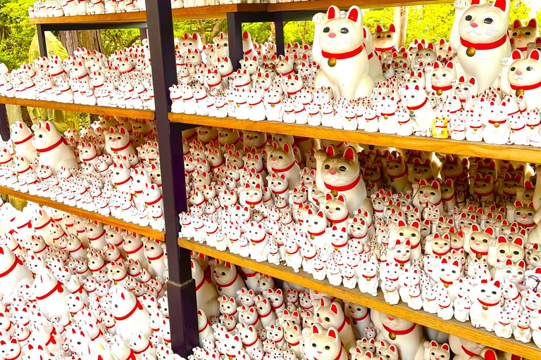 Tokyo: Gotokuji Cat Temple, Shinjuku Cat Cafe & 3D Cat Tour