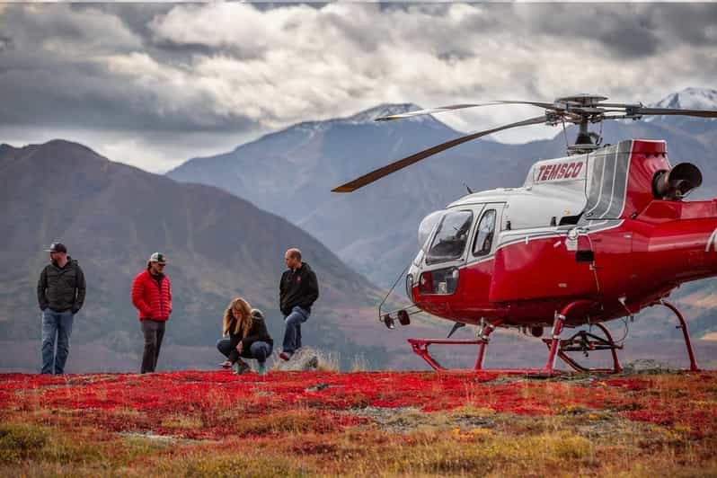 tours a alaska desde colombia