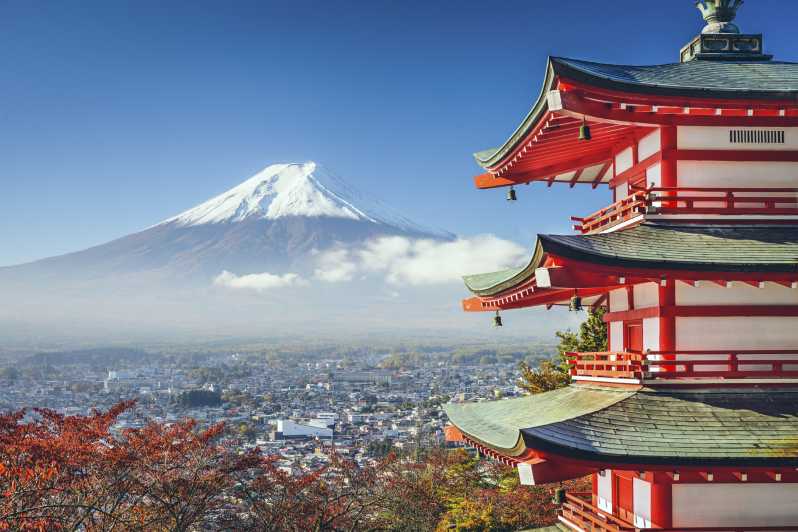 From Tokyo: Mount Fuji Private Day Tour