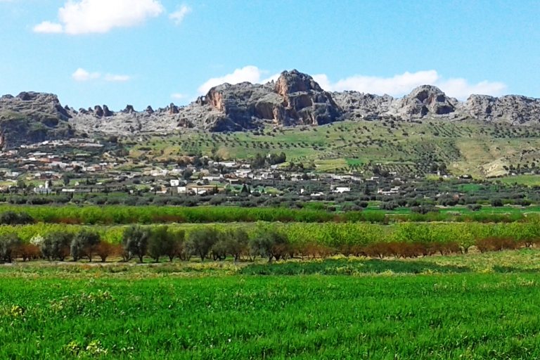 From Tunis: Day Trip to Beja, Testour and Dougga with Lunch