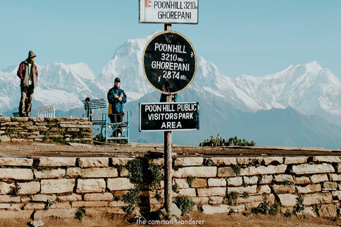 Pokhara: 4-dagars vandring i bergen Ghorepani, Poonhill och GhandrukPrivat resa med måltider inkluderade