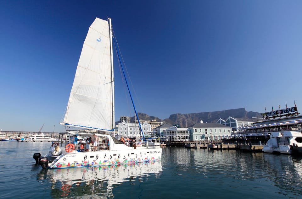 Le Cap Croisi Re Sur La Baie De La Table En Catamaran Getyourguide