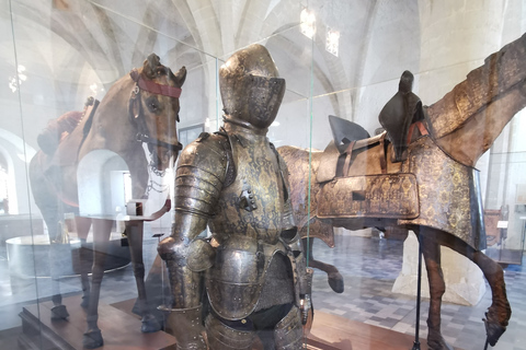 Bruxelas: Bilhete de entrada do Museum Halle Gate