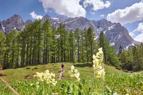 Van Kranjska Gora: begeleide dagtour door de Julische AlpenVanuit Kranjska Gora: Julische Alpen dagvullende tour met gids