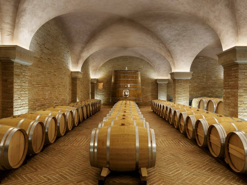 Italy, Tuscany, old canteen in Val d'Orcia area dedicated to wine  production Stock Photo - Alamy