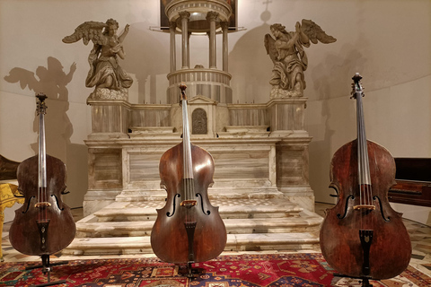 Veneza: concerto das quatro estações de Vivaldi e visita ao museu da músicaOpção Padrão