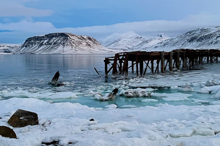 Islandia: całodniowa wycieczka jeepem z Reykjaviku