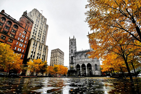 Erkunde das alte Montreal - Extra Small-Group Walking Tour