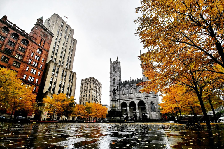 Montreal: Explore a Velha Montreal em um passeio a pé para pequenos gruposVisita guiada em inglês