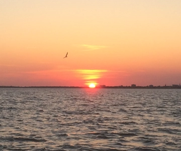Charleston: havencruise bij zonsondergang