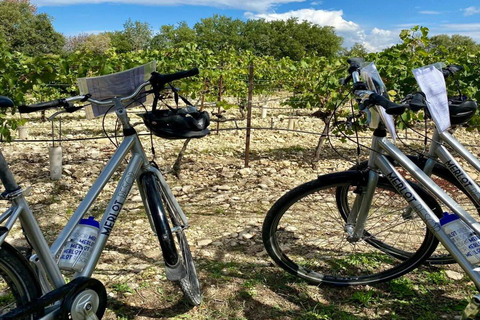 Alpilles: Discover vineyards and farms by electric bike