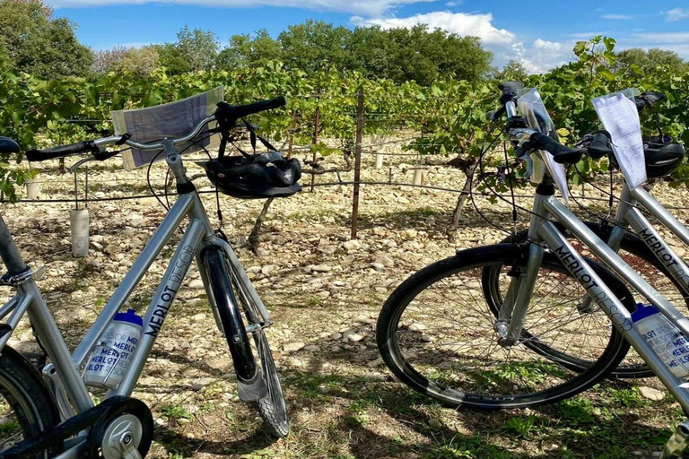 Alpilles: Discover vineyards and farms by electric bike
