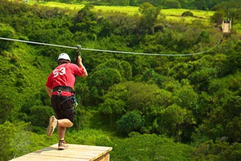 Kauai: Zipline AdventureKauai: przygoda z tyrolką na 8 liniach