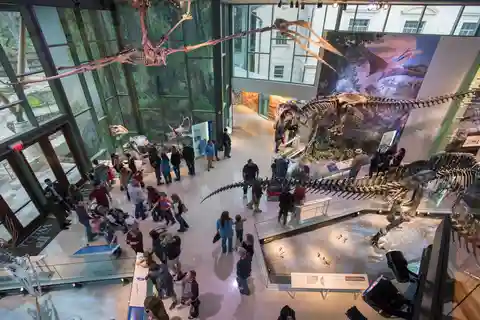 Ingresso para o Museu Witte