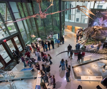 Witte Museum Admission Ticket