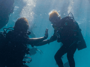 Porto Azzurro: Discovery Scuba Diving Experience