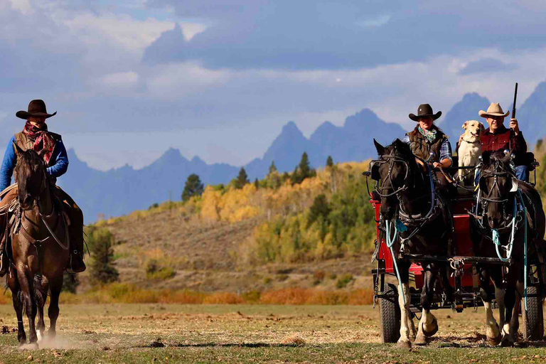 Jackson Hole: Dinner Cookout & Bridger-Teton Horseback Ride