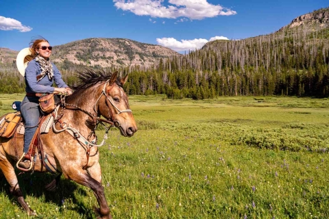Jackson Hole: Cena al aire libre y paseo a caballo Bridger-Teton