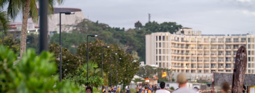Visite des temps forts de Port Vila avec prise en charge