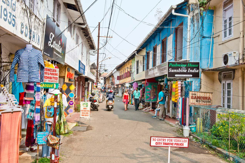Cochin Private Shore Excursion Expedition with Harbor Cruise
