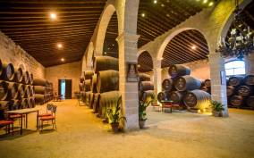 Jerez: Guided Winery Tour with Wine Tasting