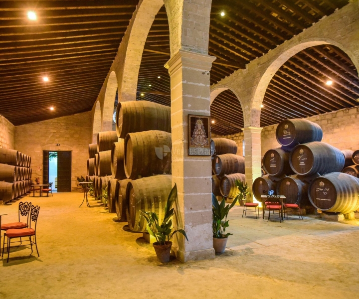 Jerez: tour guiado pela vinícola com degustação de vinhos