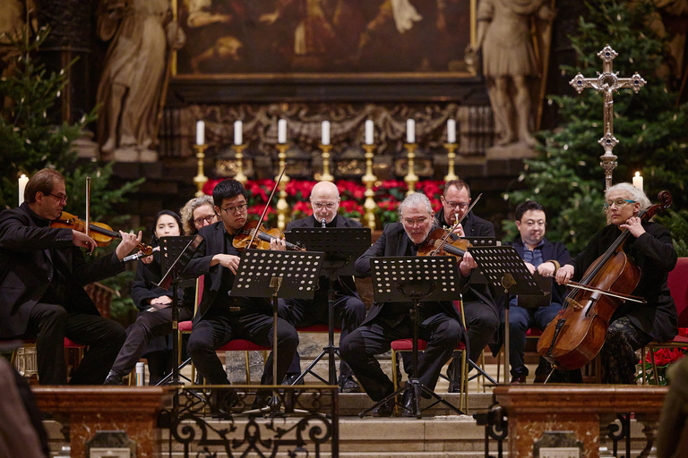 Wenen: klassiek concert in de StephansdomWA Mozart Requiem by Night - Categorie 2 met uitzicht